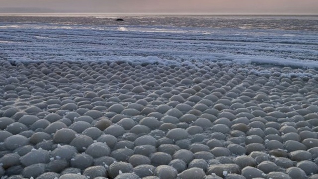  Финский залив покрылся необычными ледяными шарами  - фото 1