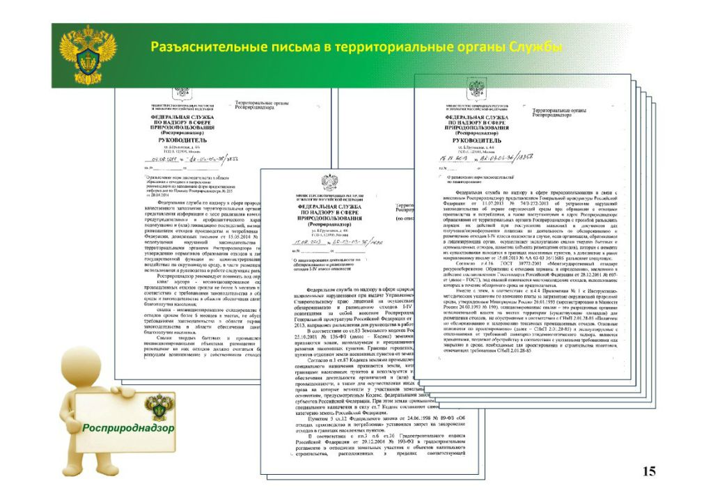  Н.Р Соколова на WEB -  конференции   Минприроды России «Обращение с отходами в России: практические вопросы»  - фото 16