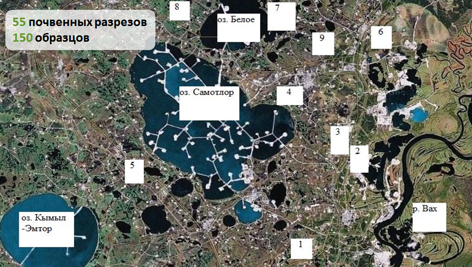 Карта самотлорского месторождения нижневартовск