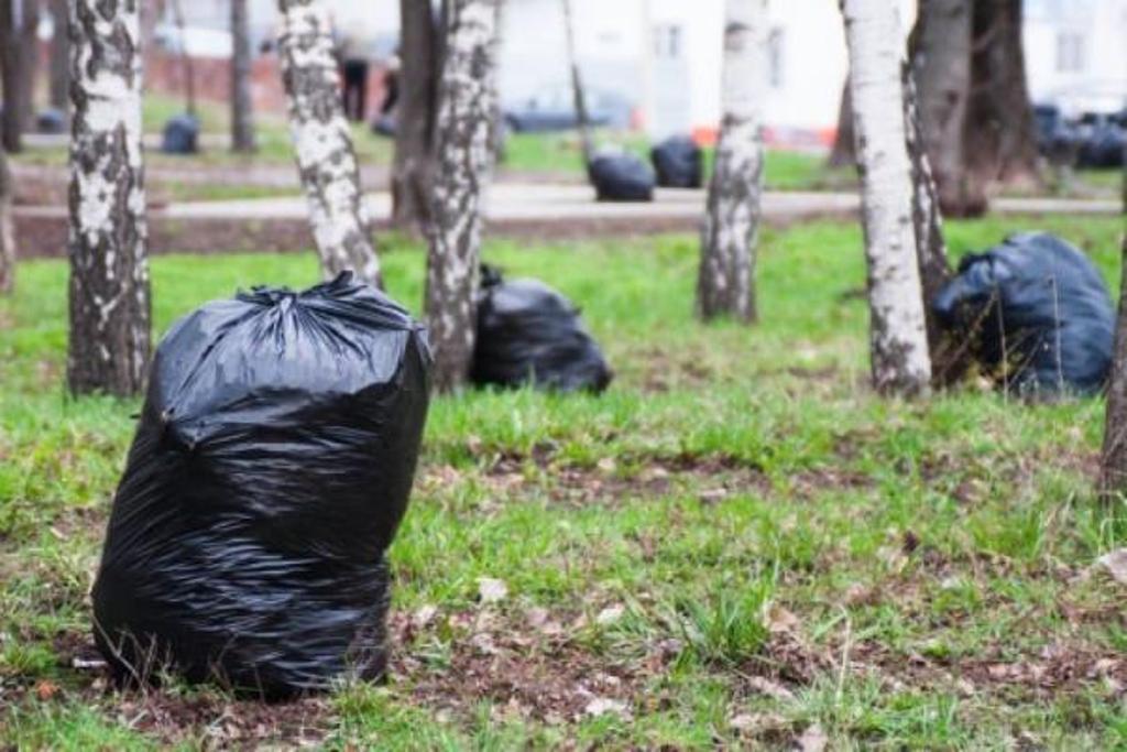  В общей сложности в экологических акциях в Тамбове приняли участие больше 10 тысяч человек - фото 2