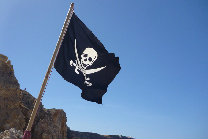 flag700