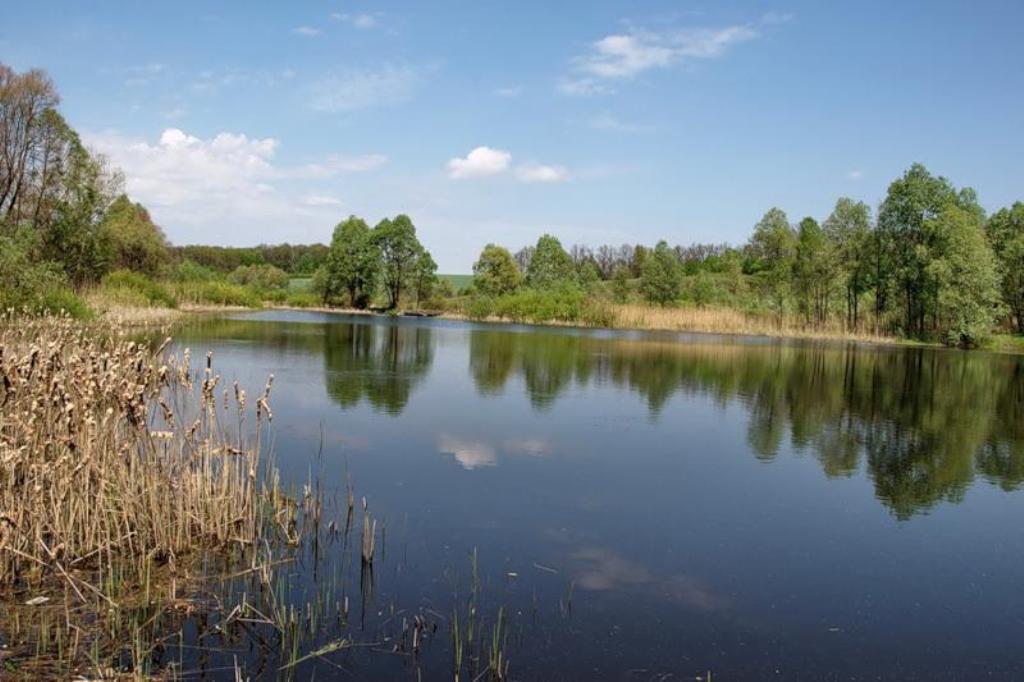  Всероссийская экологическая акция «Нашим рекам и озерам – чистые берега» вновь пройдет по всей стране  - фото 2