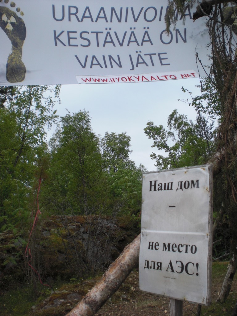  Российские экологи поддерживают антиядерные протесты в Финляндии - фото 1