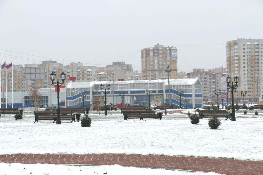  Тамбовские городские власти хотят сделать город зеленой столицей России - фото 4