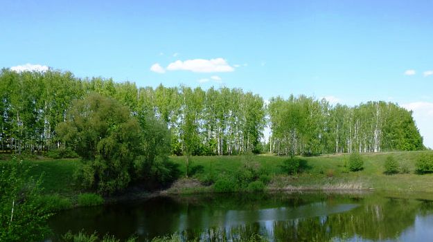  Всероссийская экологическая акция «Нашим рекам и озерам – чистые берега» вновь пройдет по всей стране  - фото 4