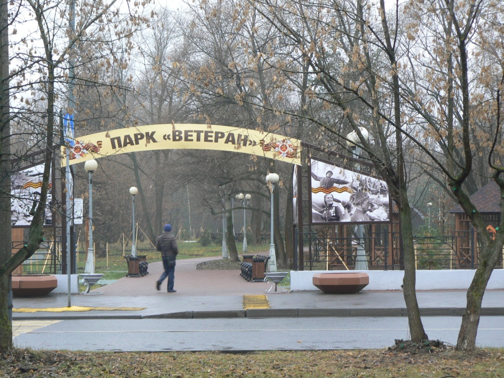  Бобр и белка в парке «Ветеран»  - фото 28