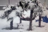 sochi9nd.jpg