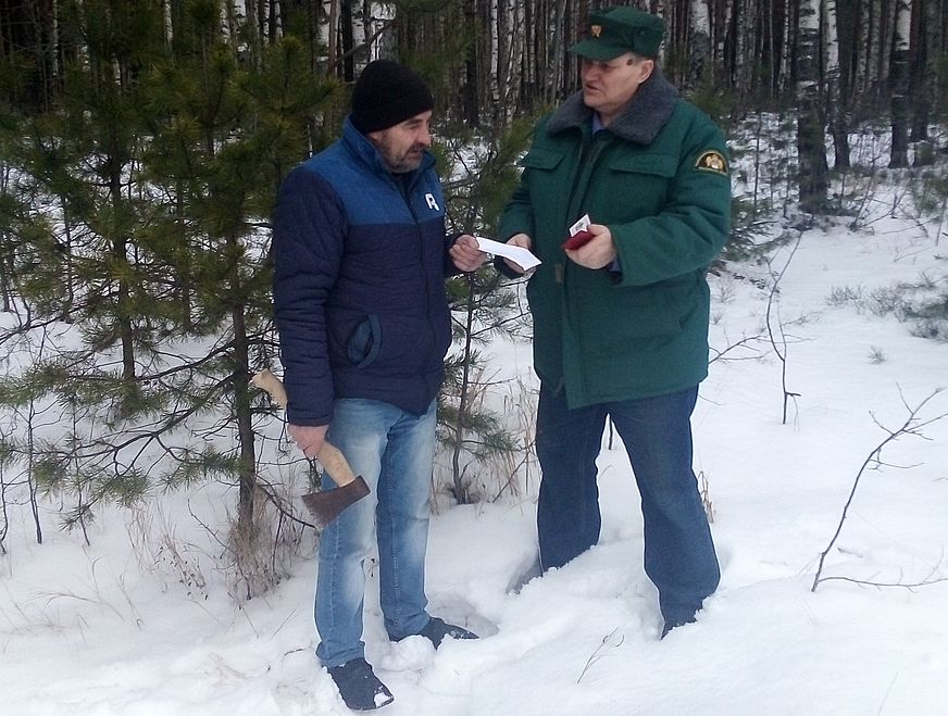 Патрулирование и профилактические мероприятия в лесах Костромской области - фото 1