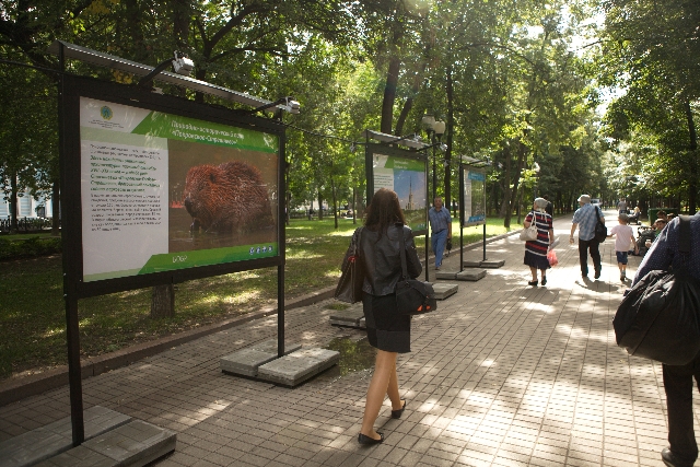 «Анонсная площадка» Департамента природопользования и охраны окружающей среды города Москвы - фото 4