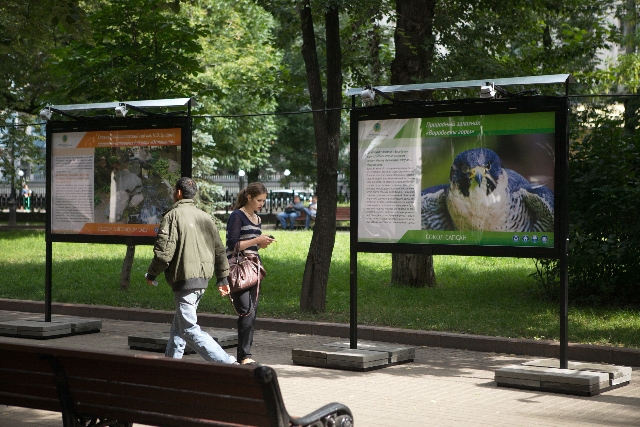 «Анонсная площадка» Департамента природопользования и охраны окружающей среды города Москвы - фото 5
