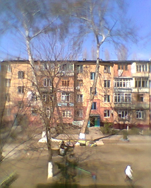 "Фото из окна". Весна, Ташкент.2014 - фото 4