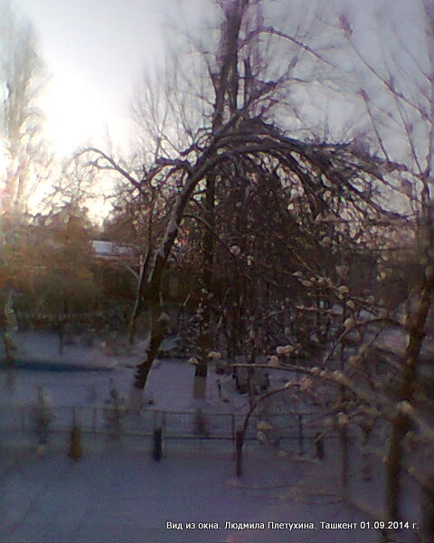 "Фото из окна". Зима, Ташкент 09.02.2014 - фото 2