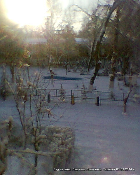 "Фото из окна". Зима, Ташкент 09.02.2014 - фото 3