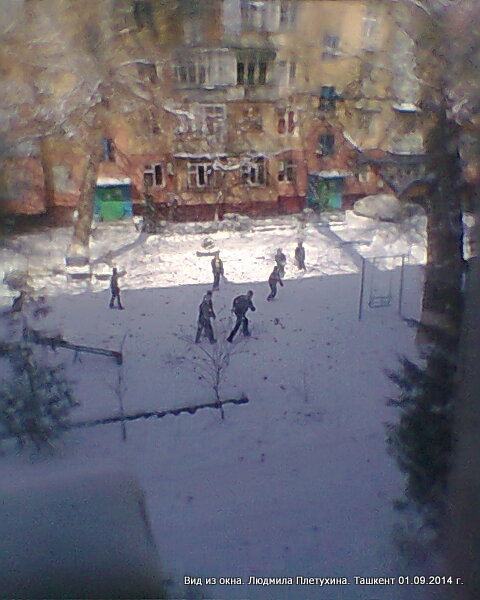 "Фото из окна". Зима, Ташкент 09.02.2014 - фото 7