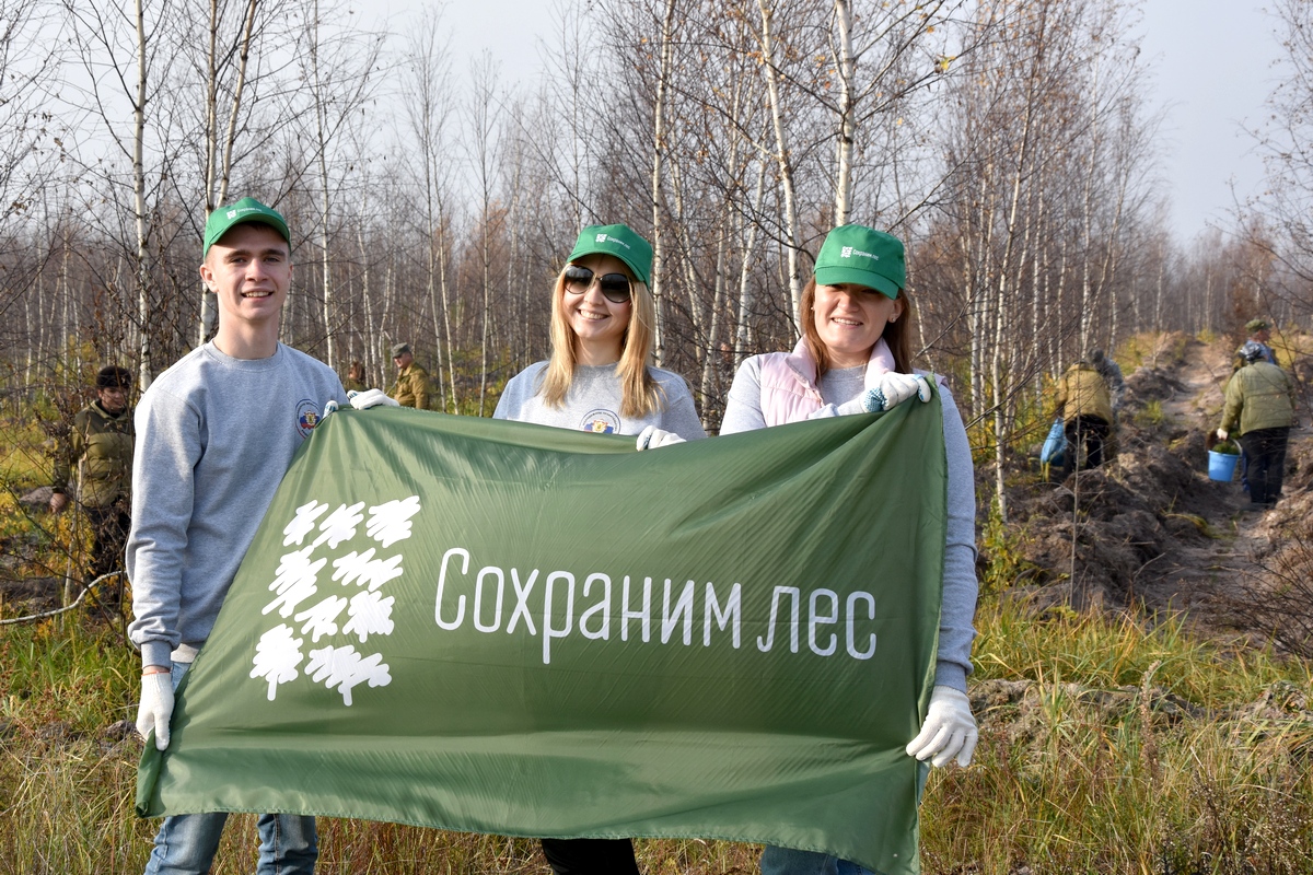 Годовой план искусственного лесовосстановления в Рязанской области полностью выполнен - фото 1