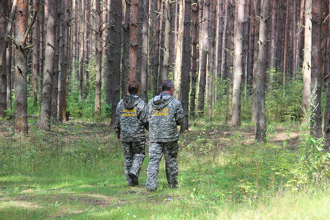 Возбуждено 54 административных дела за нарушение правил пожарной безопасности в ярославских лесах - фото 1