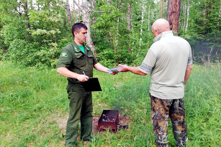 Более четырех тысяч нарушений лесного законодательства выявлено с начала года в Московской области - фото 1