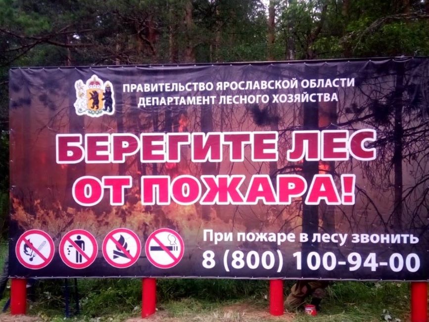 Мониторинг пожароопасной обстановки на территории лесного фонда Ярославской области - фото 1