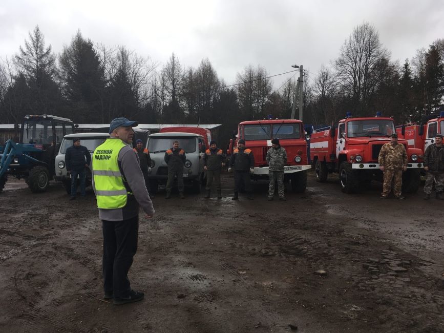 В Ярославской области прошли пожарно-тактические учения по ликвидации лесного пожара - фото 1