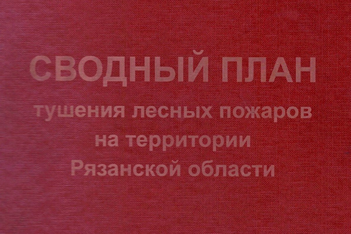 В Рязанской области утвержден сводный план тушения лесных пожаров на 2020 год - фото 1