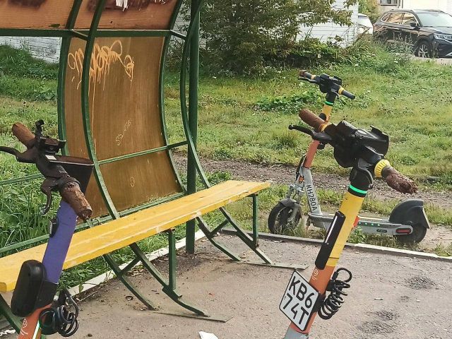 Экологический туризм начинается с простого  - фото 1