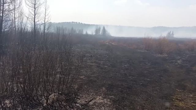 IBzDV6