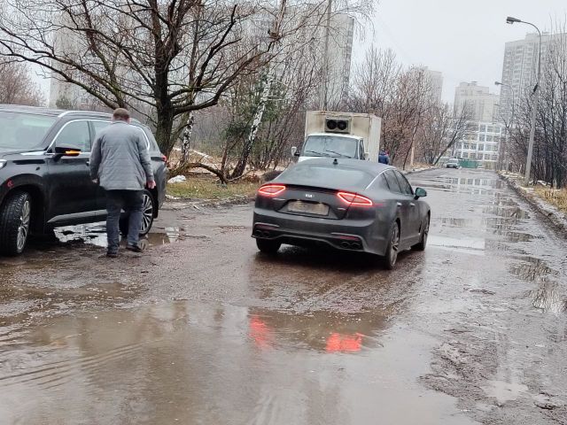 Черная месть от Айо для уничтожителей природы Москвы - фото 14