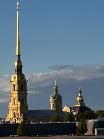 На XI Невском международном экологическом конгрессе гости были великолепны   - фото 5