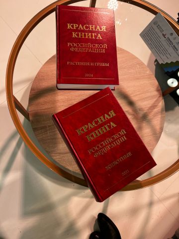 На XI Невском международном экологическом конгрессе гости были великолепны   - фото 7