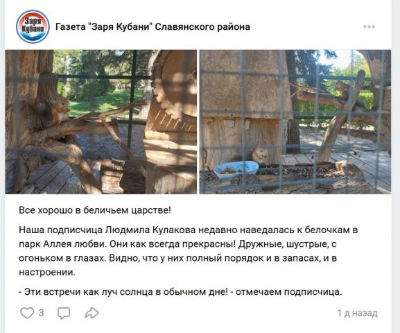 Эколог раскритиковал «беличьи тюрьмы» - фото 2